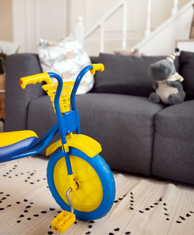 Toys and household items